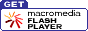 Get the Flash Player